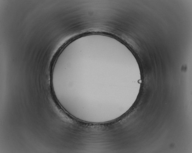 X0000092100934200710101119