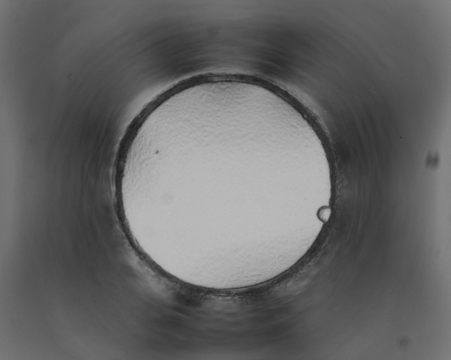 X0000092100935200710101119