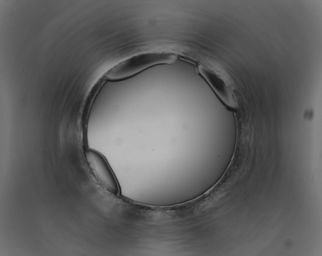 X0000092100936200710101119