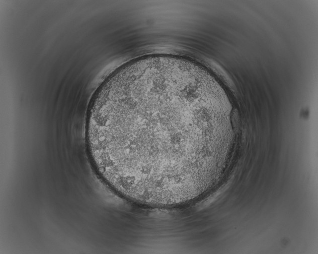 X0000092100938200710101119