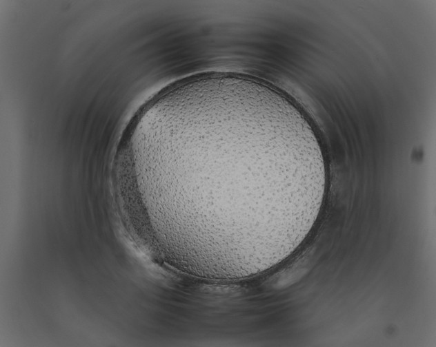 X0000092100939200710101119