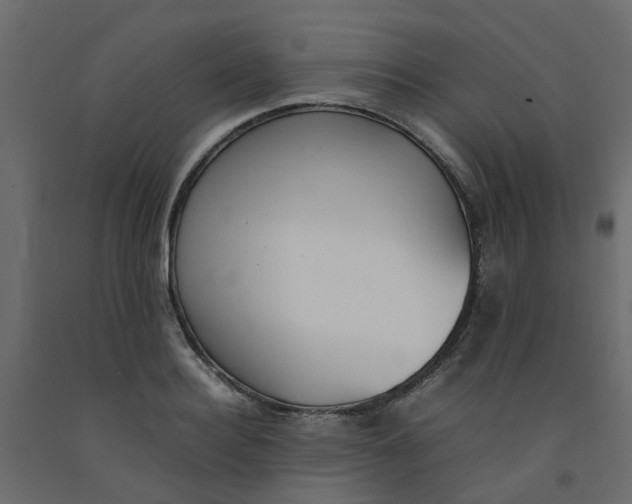 X0000092100940200710101119