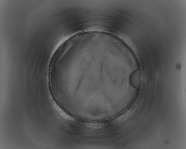 X0000092100941200710101119