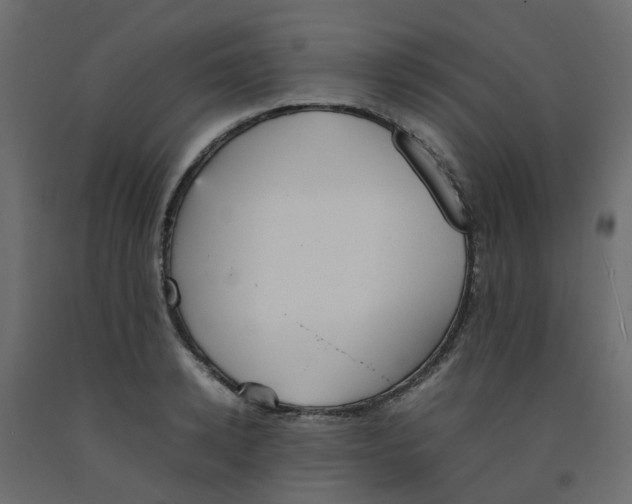 X0000092100942200710101119