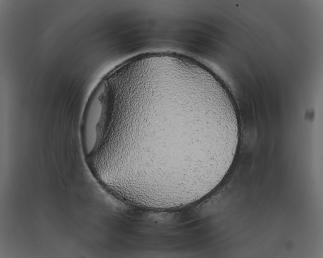 X0000092100943200710101119