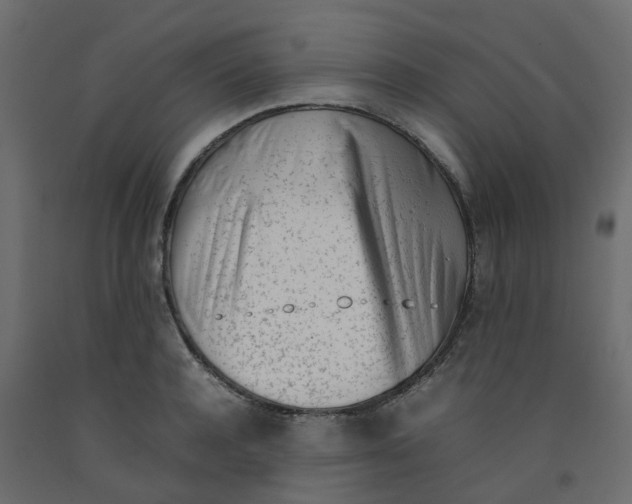 X0000092100944200710101119