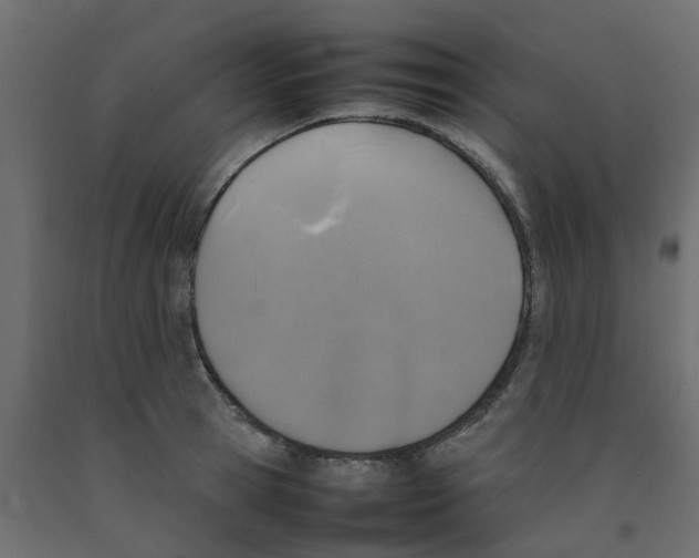 X0000092100945200710101119