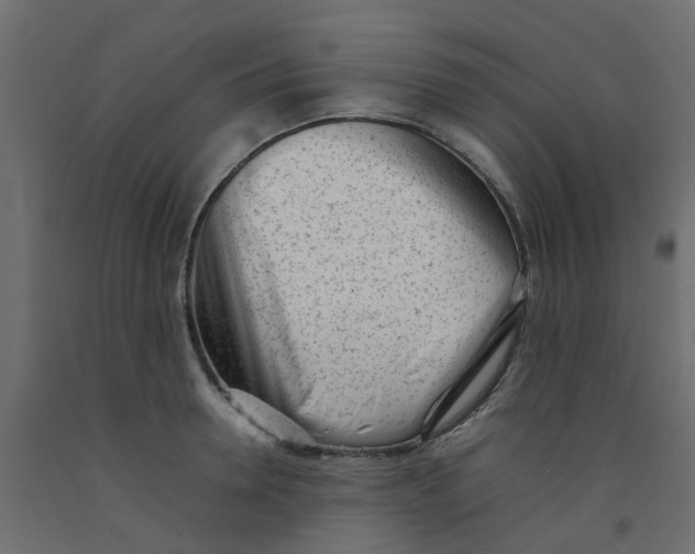 X0000092100946200710101119