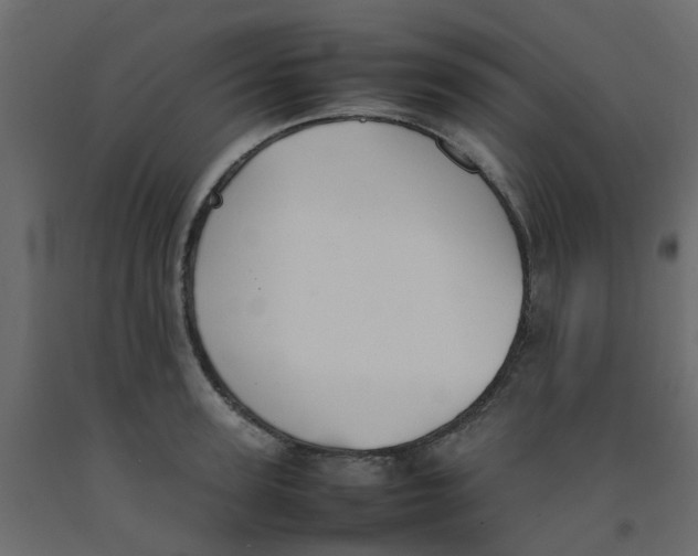 X0000092100947200710101119