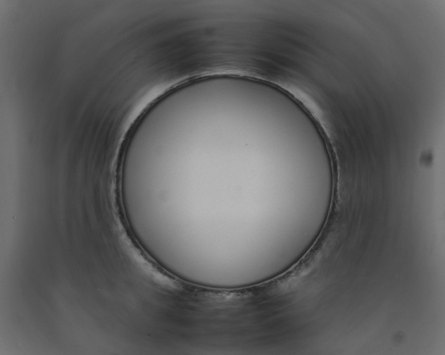 X0000092100949200710101119