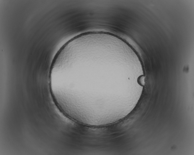 X0000092100951200710101119