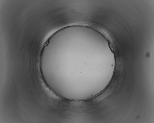 X0000092100952200710101119