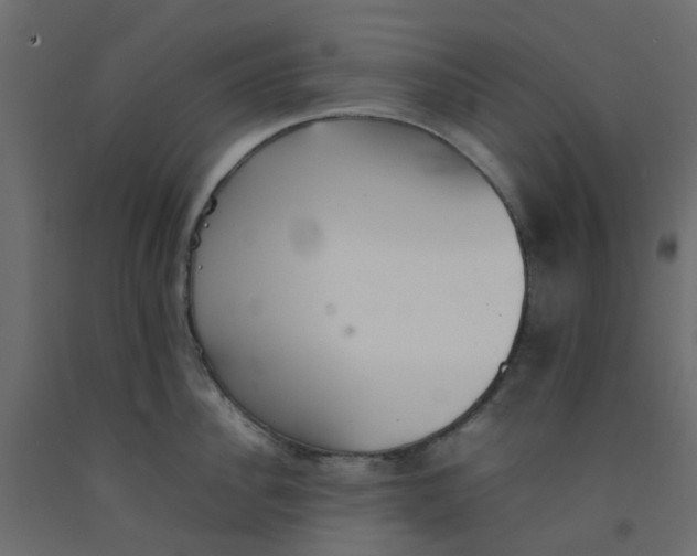 X0000092100956200710101119