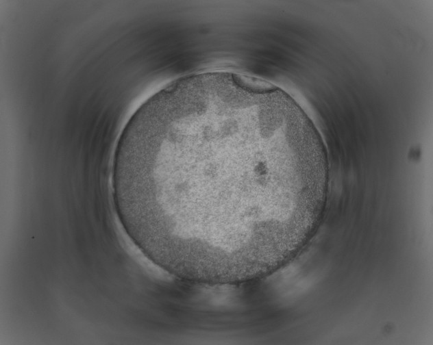 X0000092100957200710101119