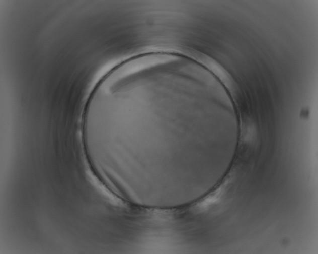 X0000092100958200710101119