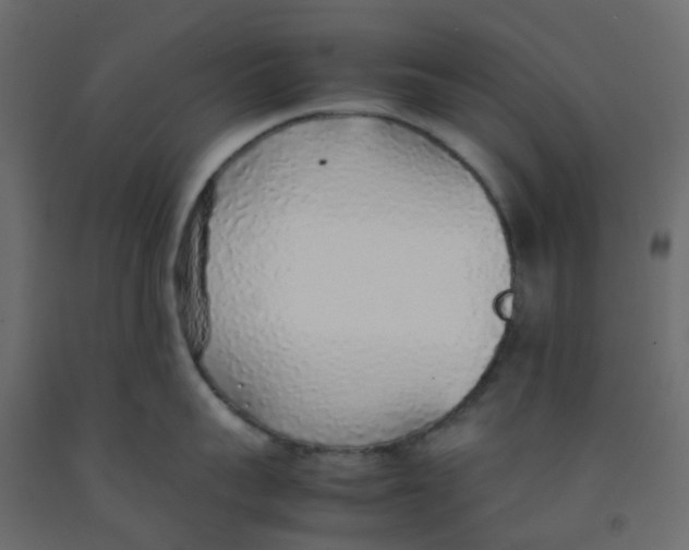 X0000092100959200710101119