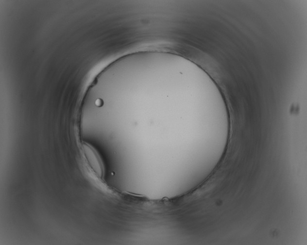 X0000092100960200710101119