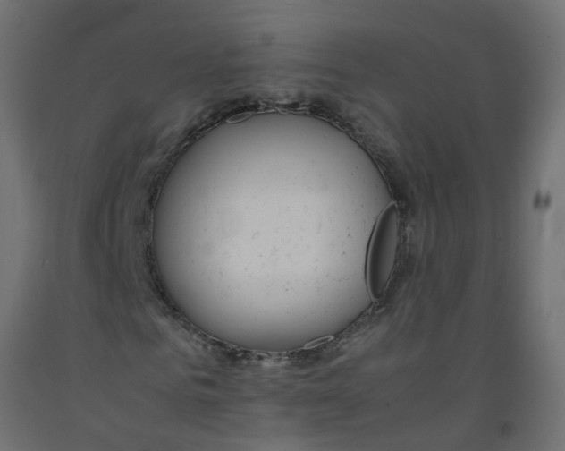 X0000092100961200710101118