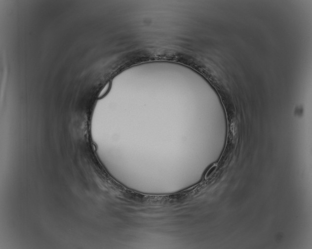 X0000092100963200710101118