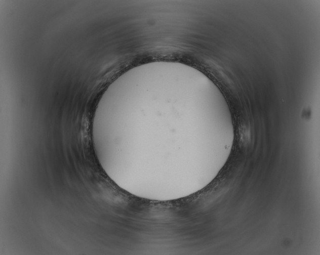 X0000092100964200710101118