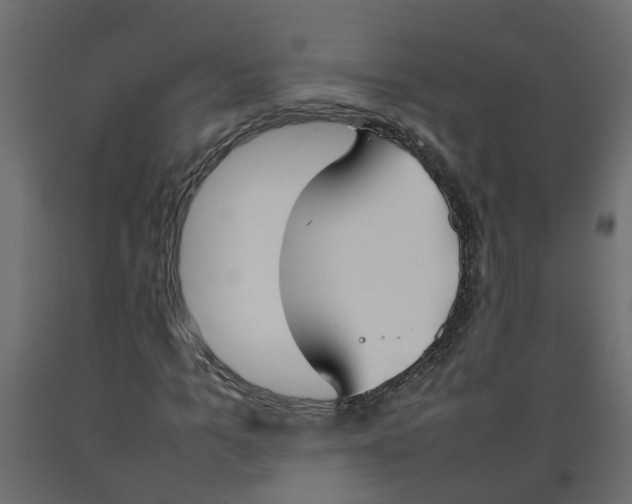 X0000092100965200710101118