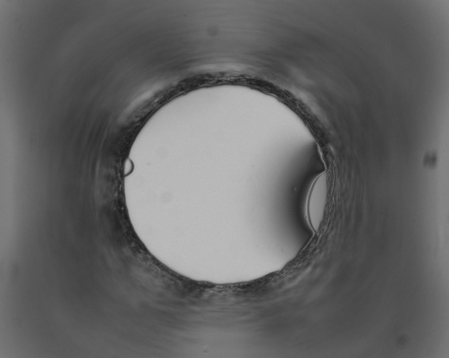 X0000092100967200710101118