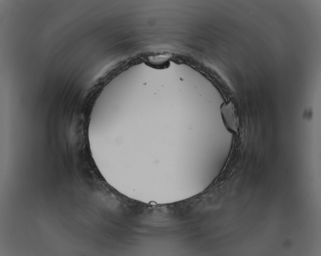 X0000092100968200710101118