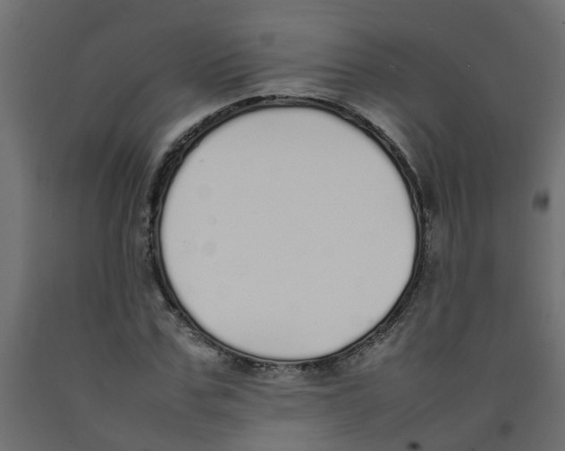 X0000092100971200710101118