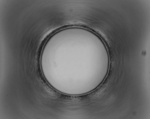 X0000092100975200710101118