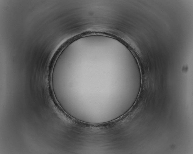 X0000092100976200710101118