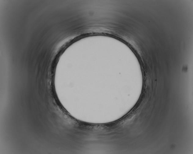 X0000092100979200710101118