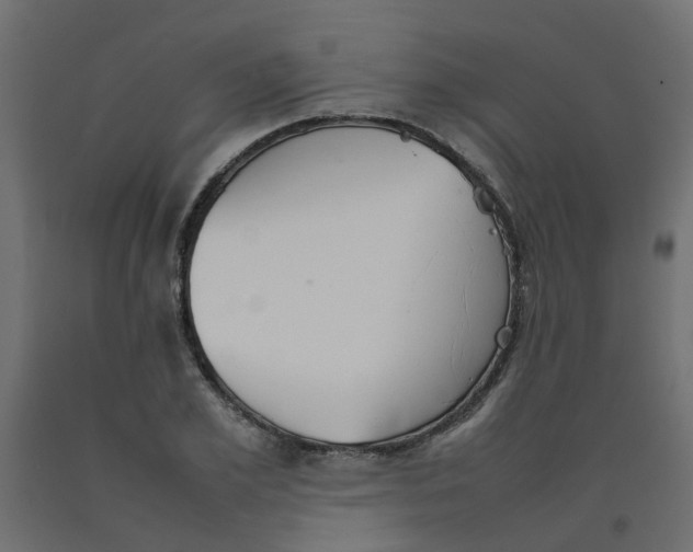 X0000092100981200710101118