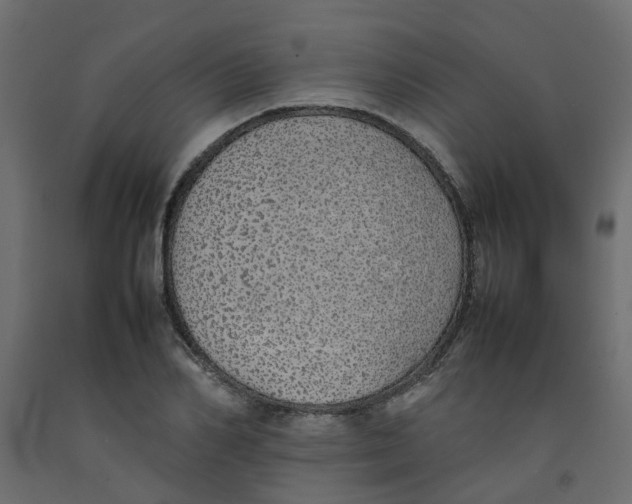 X0000092100982200710101118