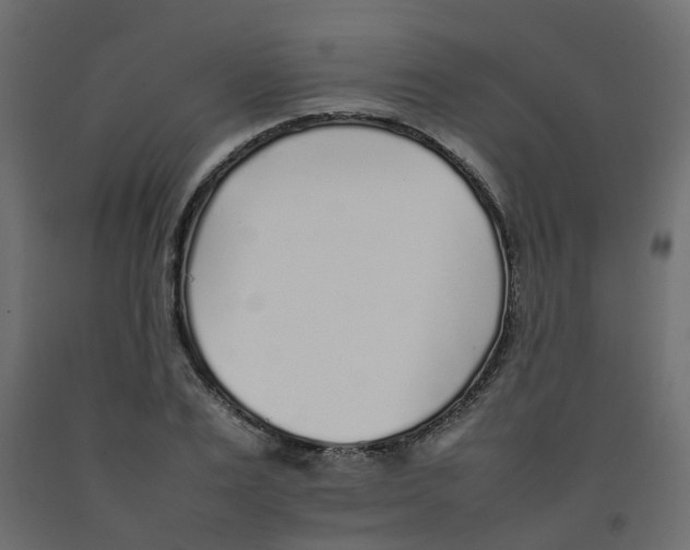 X0000092100983200710101118