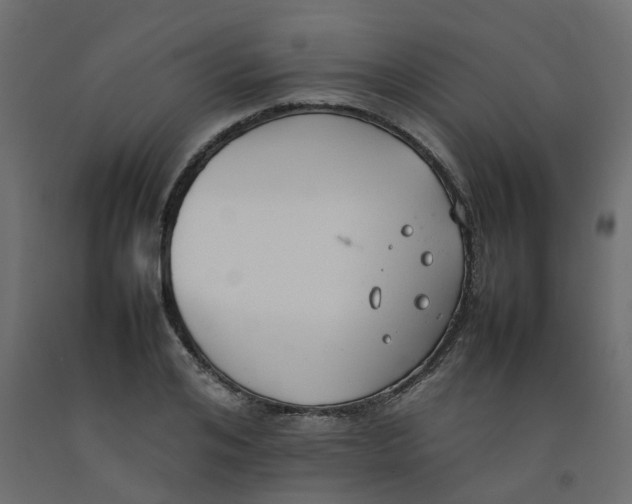 X0000092100984200710101118