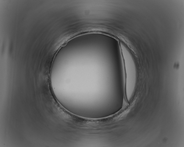 X0000092100985200710101118