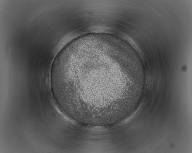 X0000092100986200710101118