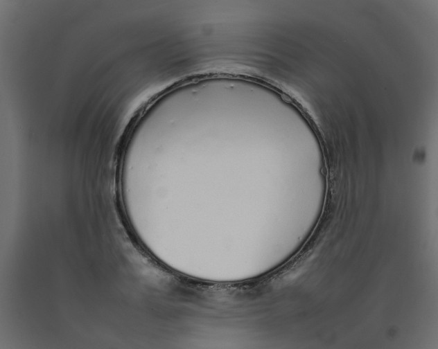 X0000092100987200710101118