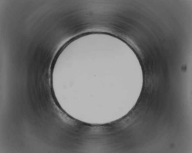 X0000092100988200710101118