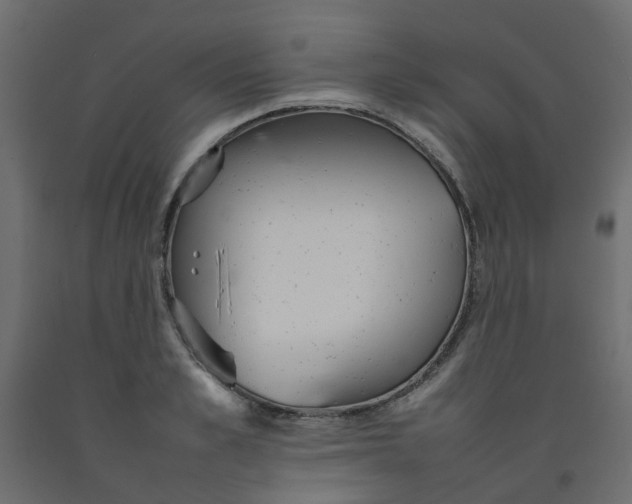 X0000092100989200710101118