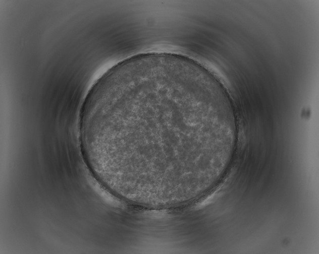 X0000092100990200710101118