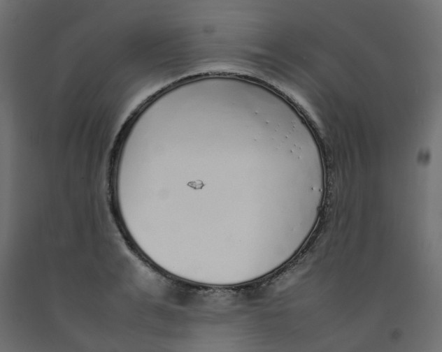 X0000092100991200710101118