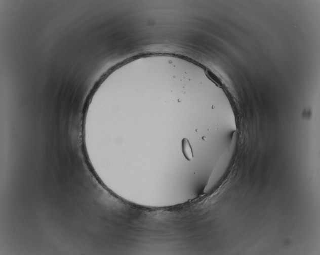 X0000092100992200710101118