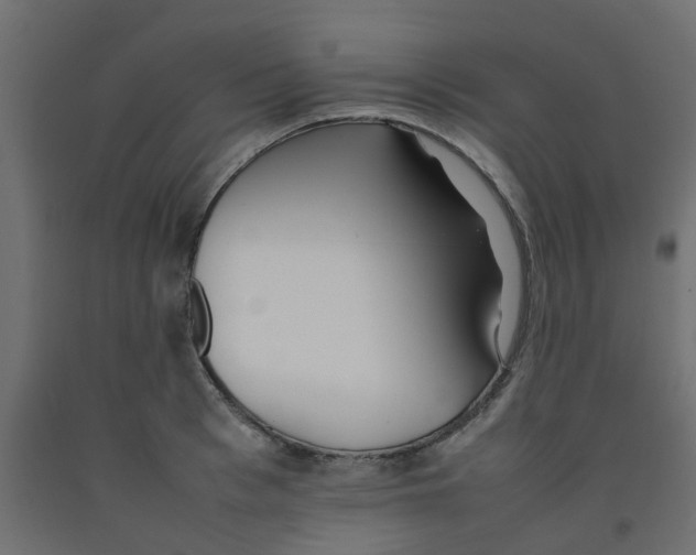 X0000092100993200710101118