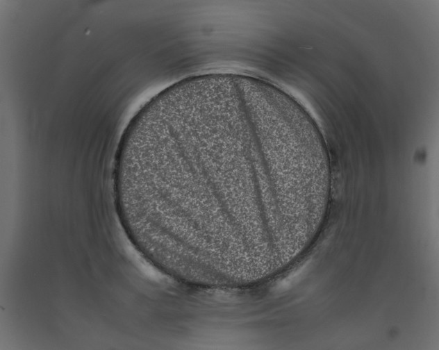 X0000092100995200710101118