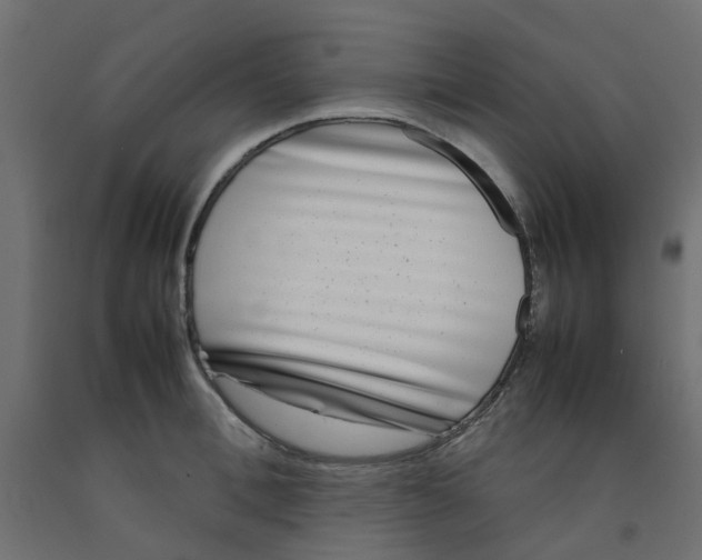 X0000092100996200710101118