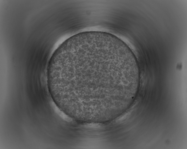 X0000092100998200710101118