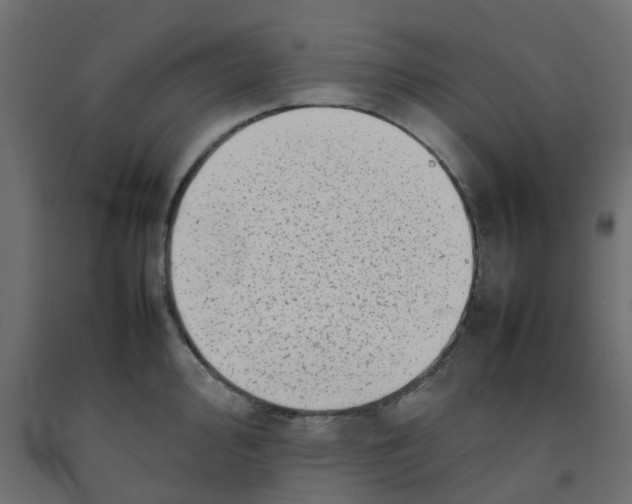 X0000092101000200710101118