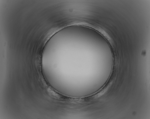 X0000092101001200710101118