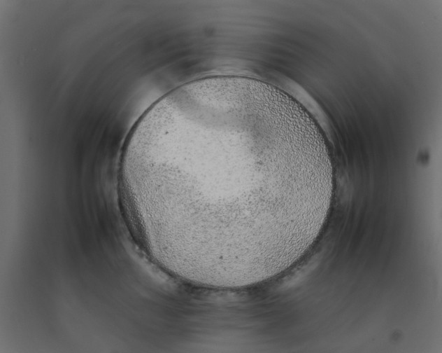 X0000092101002200710101118